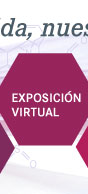 Exposición virtual