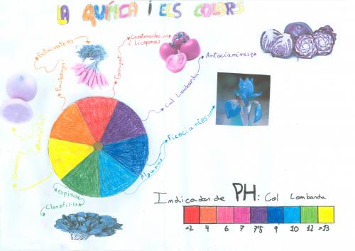1º ESO. QUÍMICA