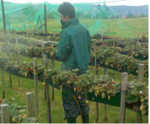 La química y el campo
