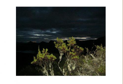 La química y la naturaleza