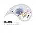 PharmaProcess